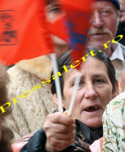 sustinatoare basescu