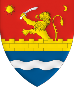 logo timis