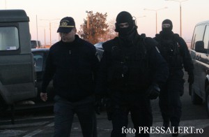 stamora 11 p
