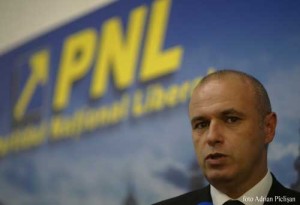 horia cristian pnl.