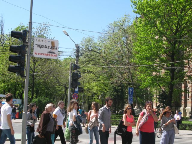 timisoaracurata 029