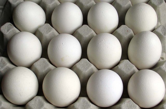 egg_carton