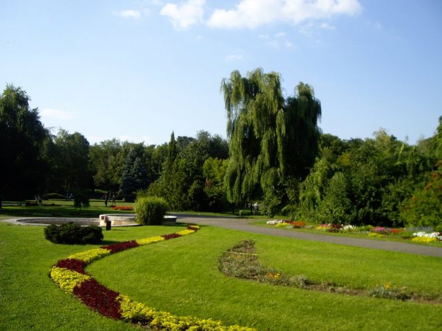 parcul-botanic-6