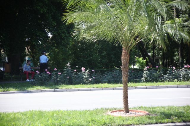 politisti la palmieri05_resize