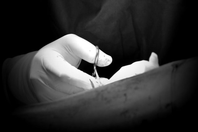bacterie_spital