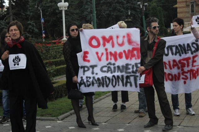 maidanezi protest timisoara 4