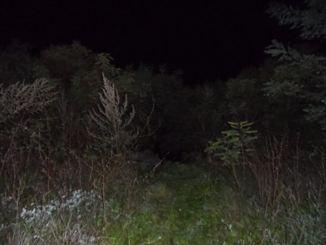 SAM_3625