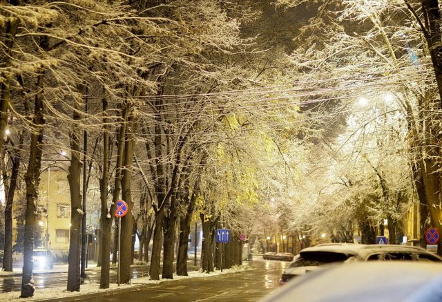 zapada timisoara (5)