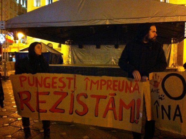 protest pungesti