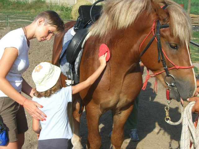 hors4