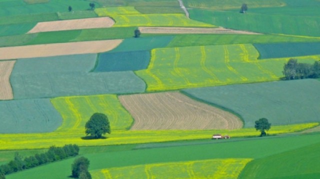 terenuri_agricole 2