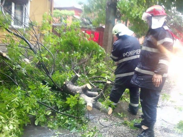 furtuna timisoara
