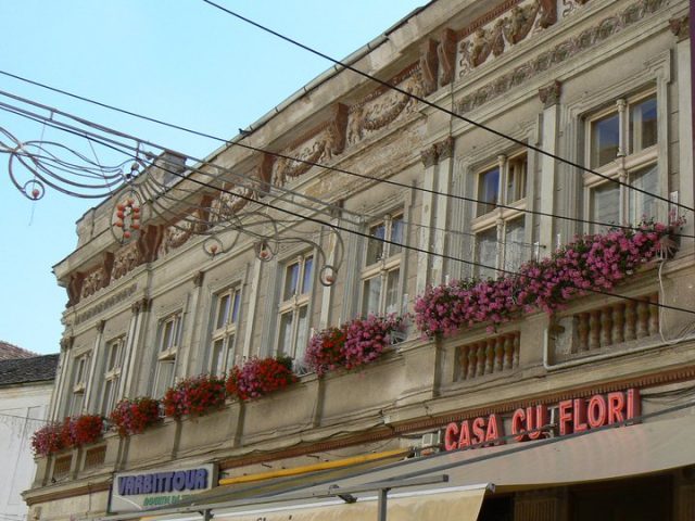 casa cu flori