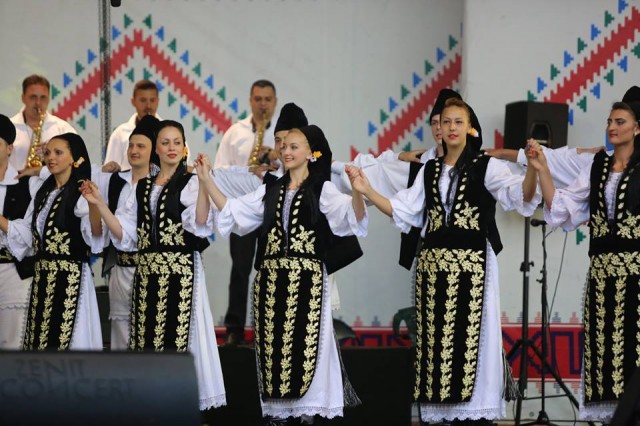 festivalul inimilor 2014 (2)