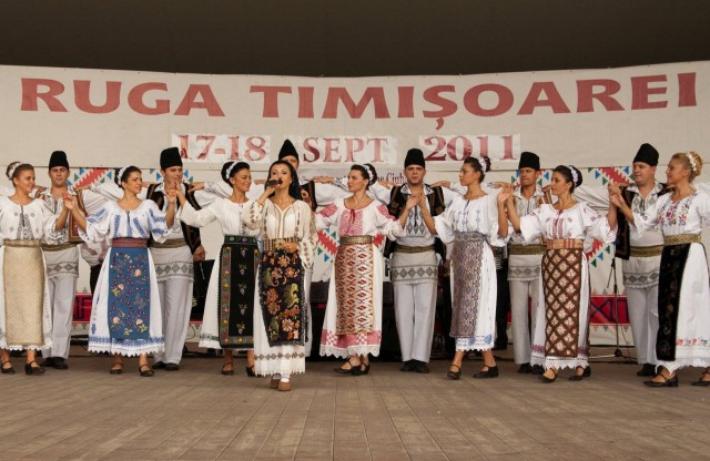 ruga timisoarei