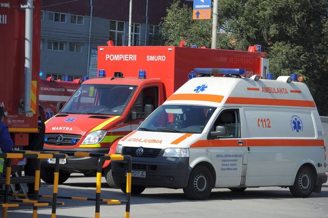 exercitiu urgenta pompieri ambulanta caini (10)