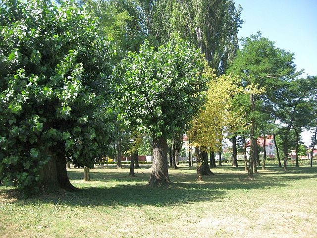 Parc Lidia biotowns_ro