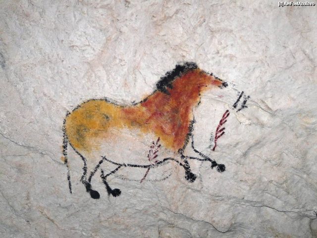 16679_43780_5
