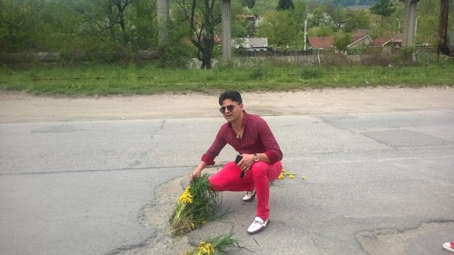 flori plantate sosea