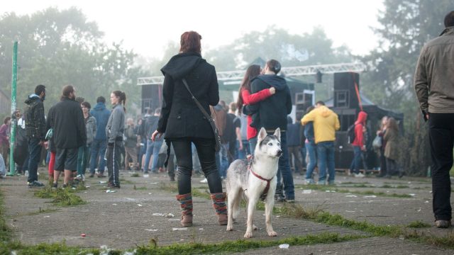 freenetikparty (6)