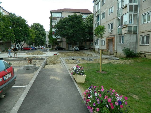 gradina de langa blocul lui robu (4)