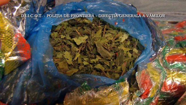 khat africa