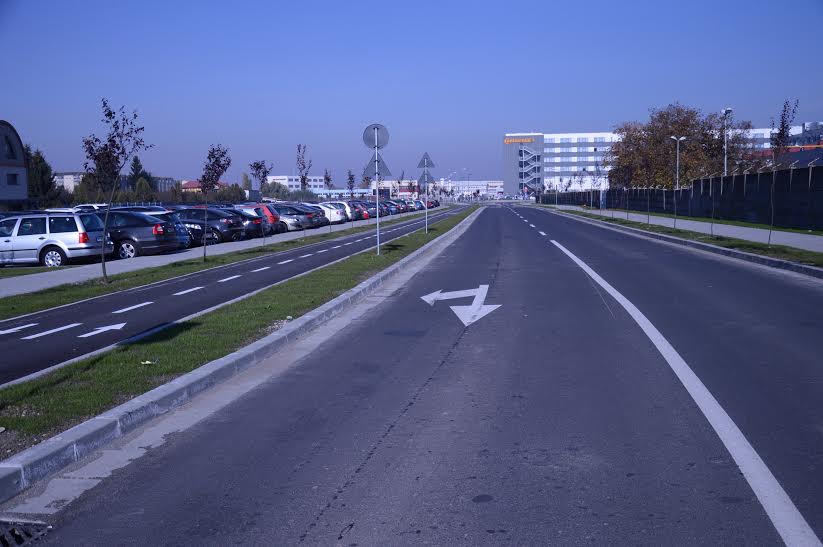 Calea Buziasului