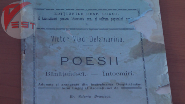 5. poezii victor vlad delamarina