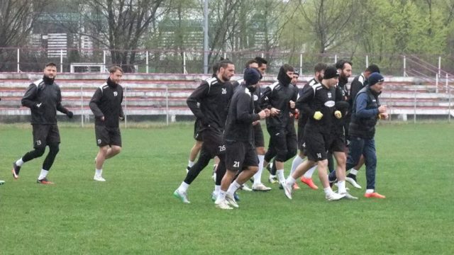 acs poli antr (7)