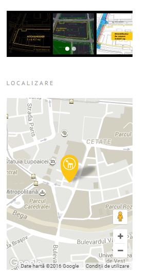 Liceu de Arte din Timisoara scos la vanzare pe internet