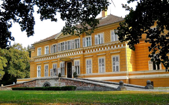 Castelul regal de la Săvârșin