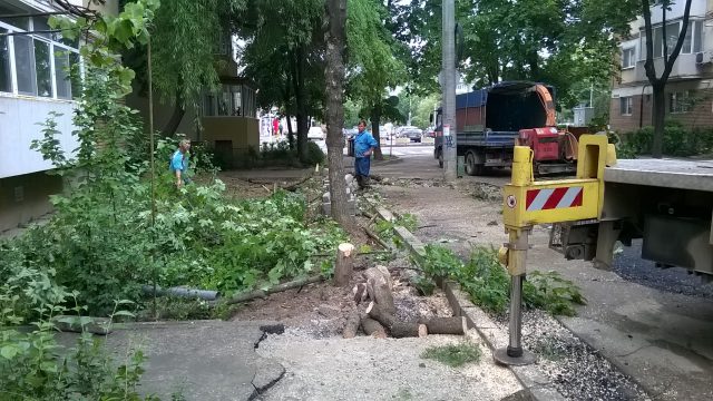 strada astrilor defrisare copaci taiati 12 mai 2016 (4)