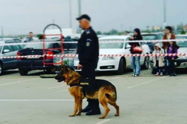 Agentul Radu Vasiescu si cainele Jake in misiune