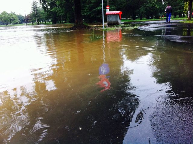 inundatii timisoara 28 iunie 2016 (9)