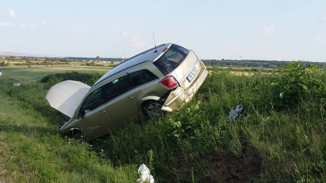 accident birda 2