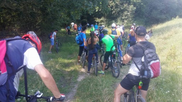 pedalare