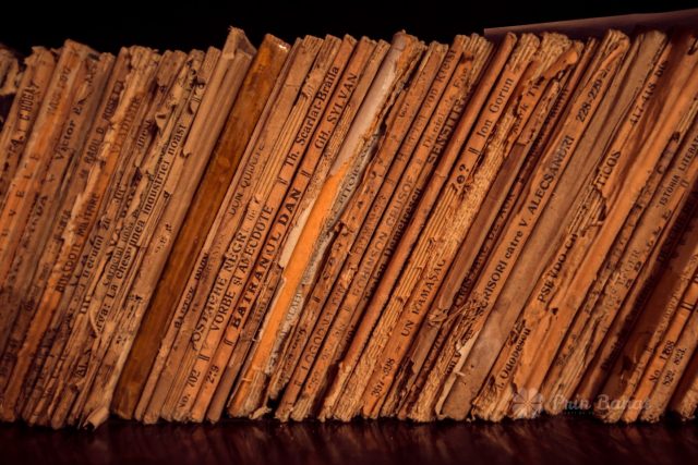 2. biblioteca marius matei