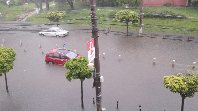 inundatii timisoara 3