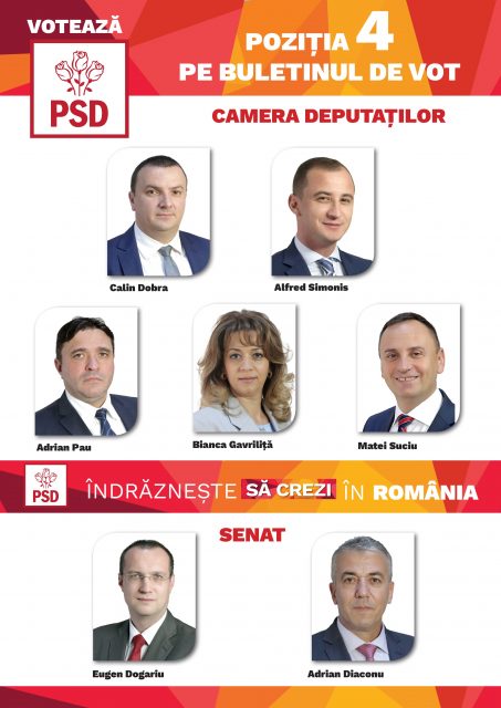 macheta-echipa-psd-timis