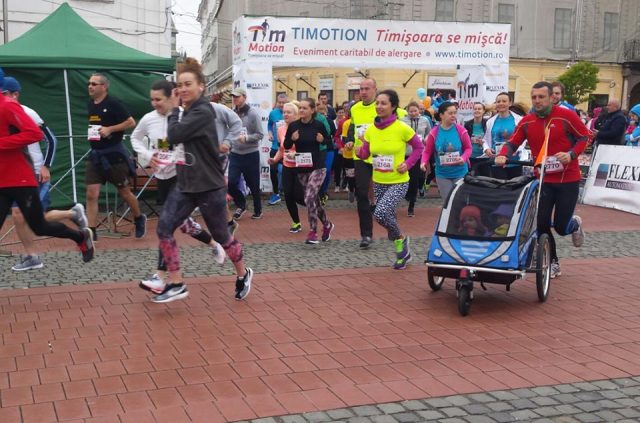 timotion