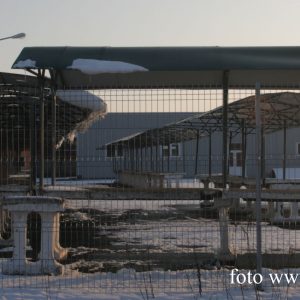 piata lovrin 4