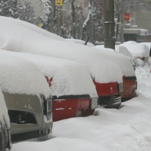 iarna 2012 timisoara 1