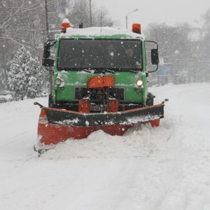 iarna 2012 timisoara 4