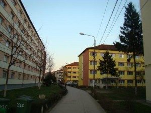 camine-timisoara-300×225