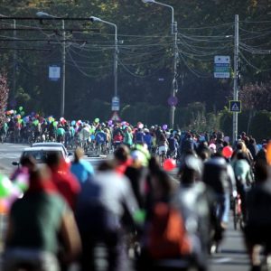 biciclete verde 4 4