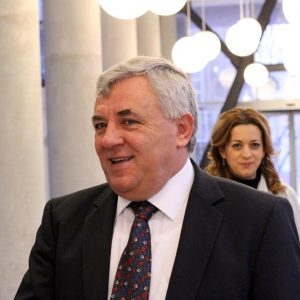 titu bojin zambitor