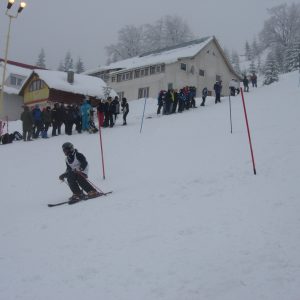 DSCN8313