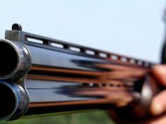 Vânător de ocazie, cercetat penal după ce a împușcat un câine scos la plimbare de stăpân