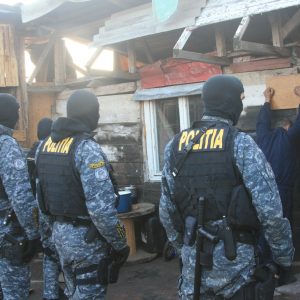 mascati actiune plopi 2