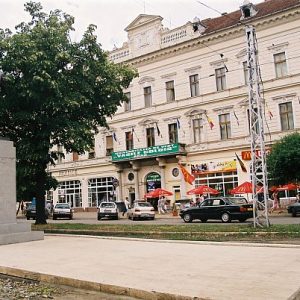 vasile_goldis